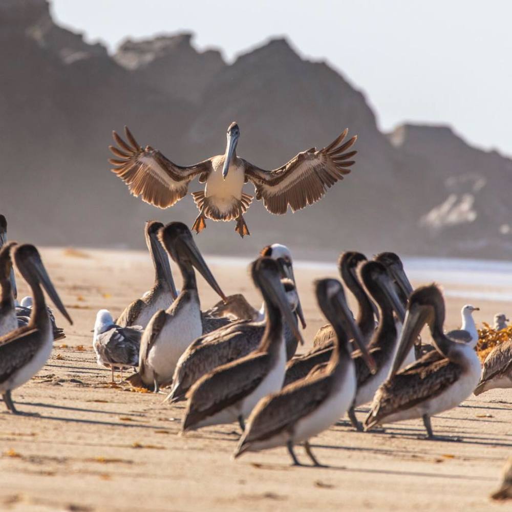 Meet your Posher, Lynn